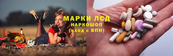 прущие крисы Абаза