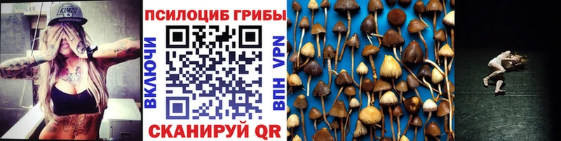 blacksprut зеркало  Юхнов  Псилоцибиновые грибы мицелий  наркота 